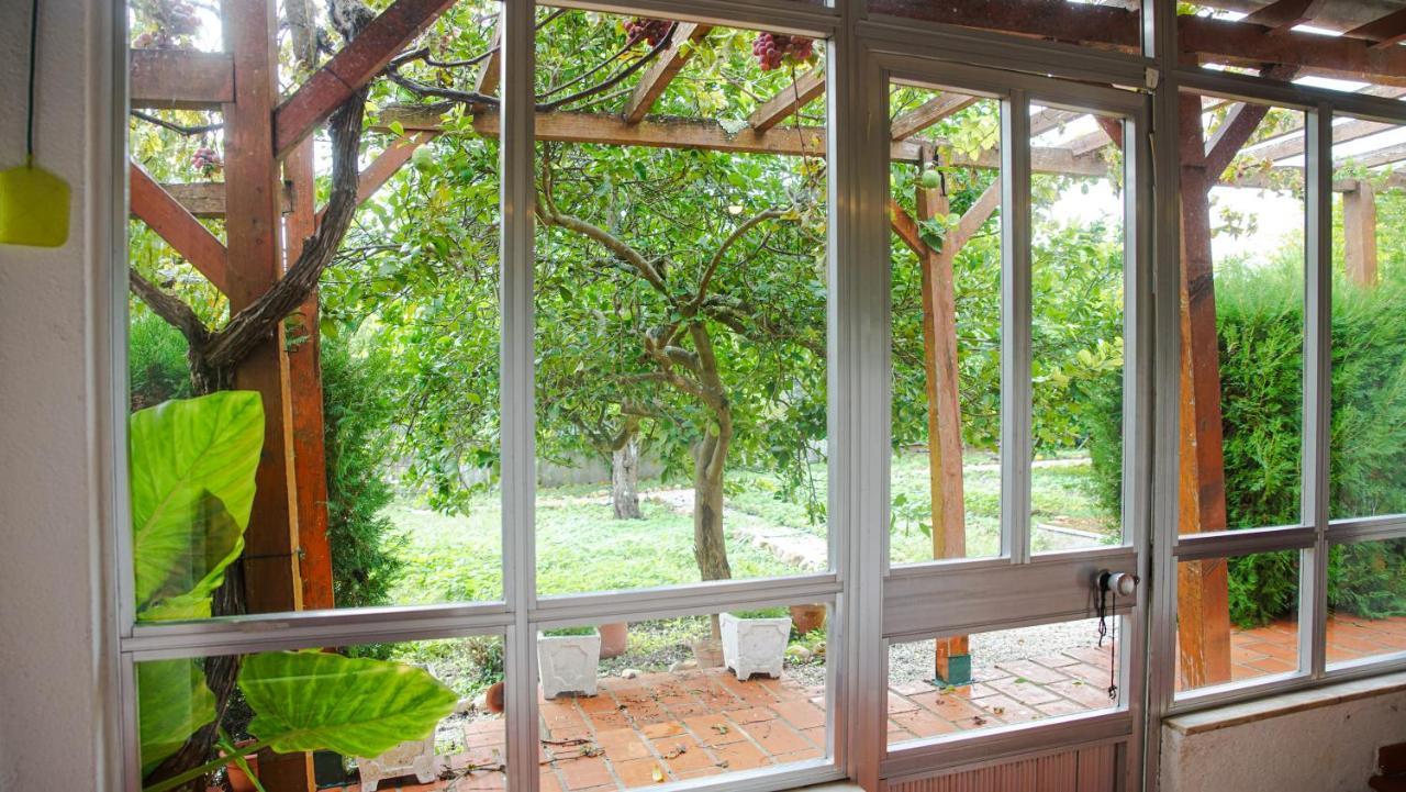 Casa Do Avo Machado Villa Abrantes Ngoại thất bức ảnh